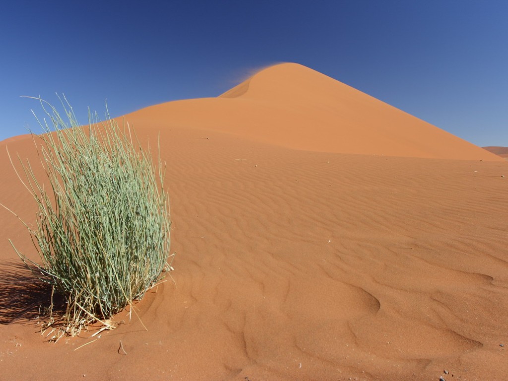 2008-10 Namibia