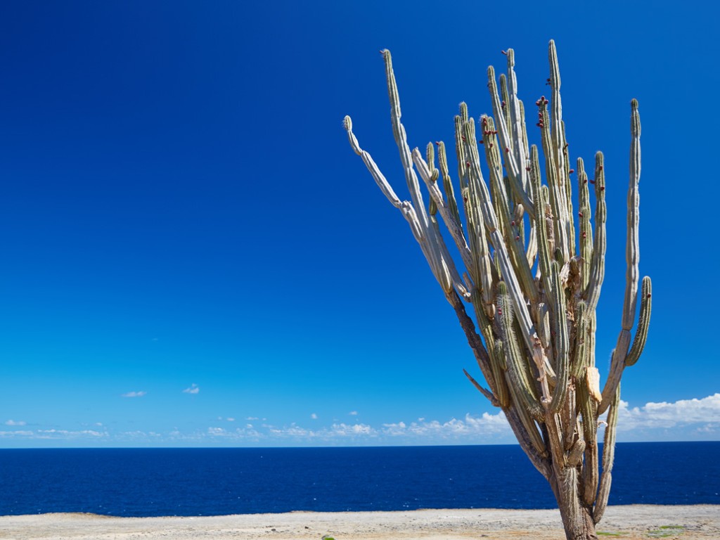 2017-02 Curacao Bonaire